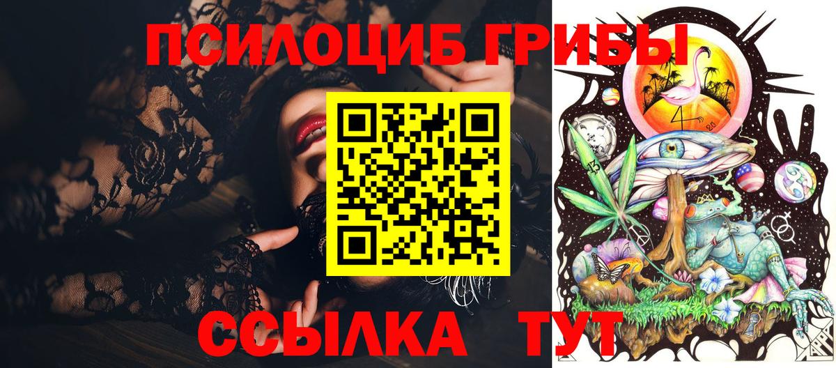 Галлюциногенные грибы MAGIC MUSHROOMS  где можно купить наркотик  Вход с VPN  Геленджик  Галлюциногенные грибы Magic Shrooms 